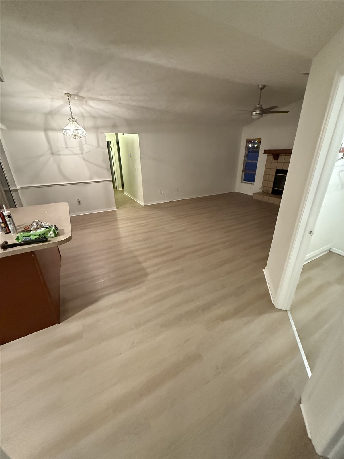 Living room flooring and paint remodel by 3DCON LLC in Brandon